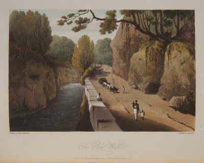 Paseo por la ciénaga de James Hakewill