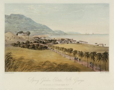 La propiedad Spring Garden, en St. George (Caribe), propiedad de I R Grosett Esquire. Grabado coloreado, 1 de abril de James Hakewill