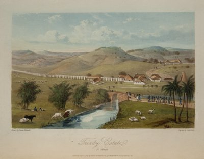 Trinity Estate. Santa María de James Hakewill