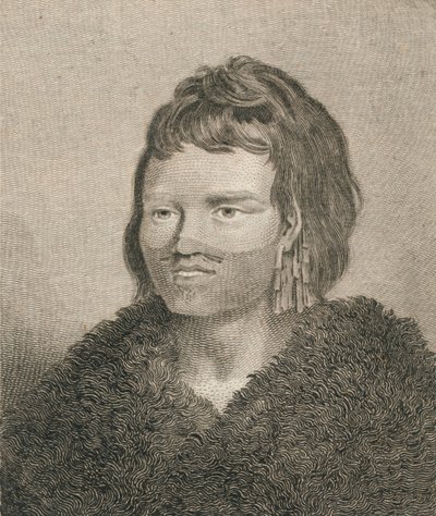 Un nativo de Sandwich Sound, 1784 de James Heath