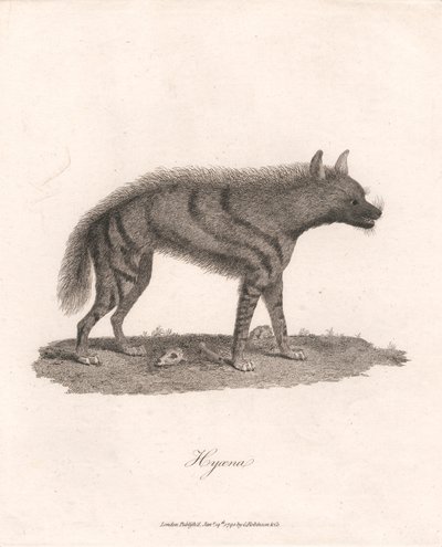 Hyoena de James Heath