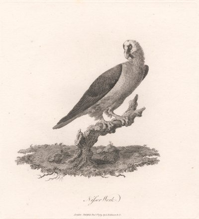 Fábrica Nisser de James Heath