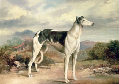 Un galgo en un paisaje montañoso de James Henry Beard
