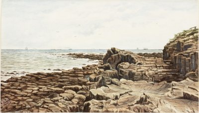 Tynemouth desde Sharpness Point de James Henry Cleet