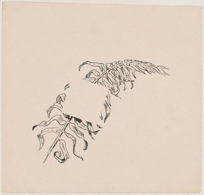 Rama de James Henry Moser