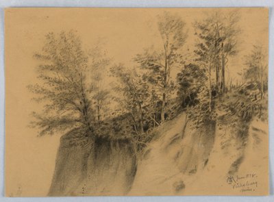 Acantilado y árboles, Vicksburg, Misisipi de James Henry Moser