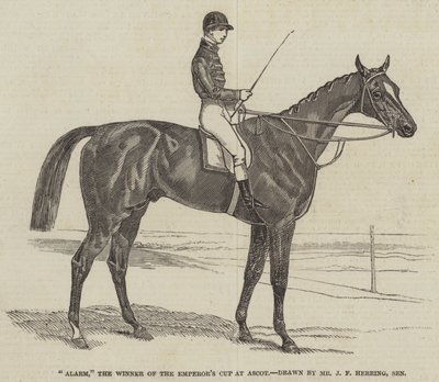 Alarm, el ganador de la Copa del Emperador en Ascot de James Herring