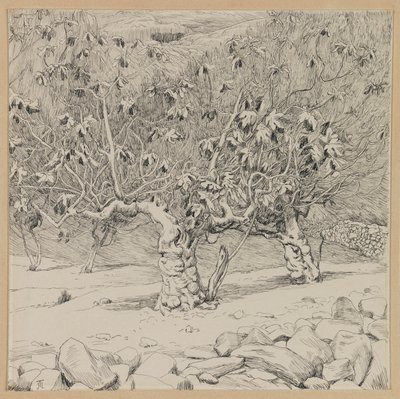 Higuera, Valle de Hinnom, ilustración de La Vida de Nuestro Señor Jesucristo de James Jacques Joseph Tissot