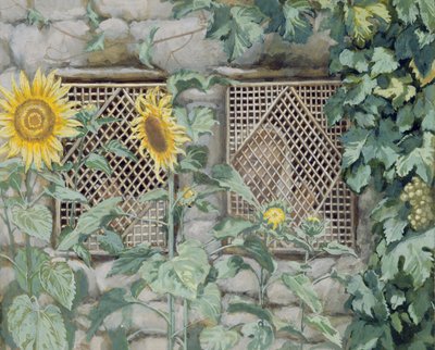 Jesús Mirando a través de una Celosía con Girasoles, ilustración para La Vida de Cristo, c.1886-96 de James Jacques Joseph Tissot