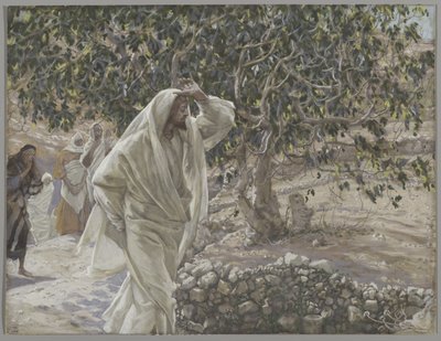 La higuera maldita, ilustración de La vida de Nuestro Señor Jesucristo, 1886-94 de James Jacques Joseph Tissot