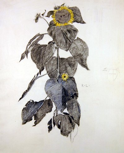 Girasoles de James Kerr Lawson