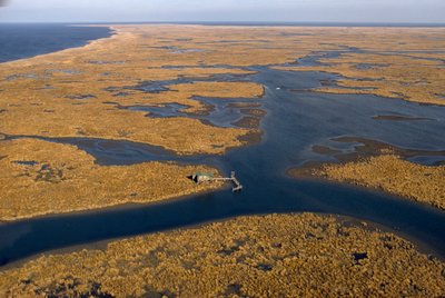 La casa de un ostricultor se alza sobre una vasta extensión de hierba de marisma. Aérea, Missi... de James L Stanfield