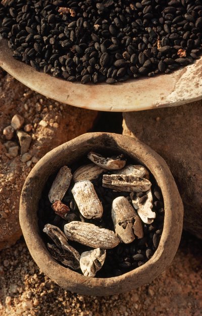 Se encuentran alimentos secos en cuencos en el yacimiento de una antigua ciudad. STARA ZAGORA, BULGARIA. de James L Stanfield