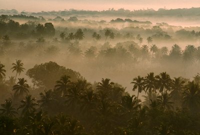 Niebla matinal sobre el paisaje de la antigua Goa al amanecer. OLD GOA, GOA, INDIA. de James L Stanfield