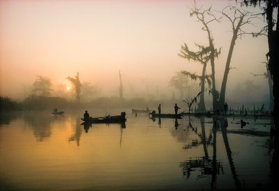 El sol de octubre quema la niebla matinal sobre Alligator Bayou, en el delta de Luisiana,... de James L Stanfield