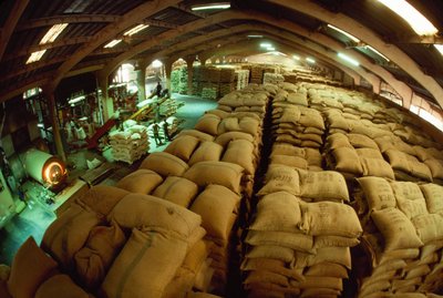 Sacos de cacao apilados en un almacén de acondicionamiento. Abiyán, Costa de Marfil. de James L Stanfield