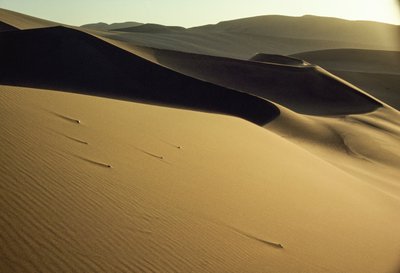 Vista de dunas sombreadas y recortadas cerca de Dunhuang. Provincia de Gansu, República Popular China. de James L Stanfield