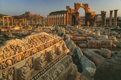 Vista de las ruinas romanas de Palmira. PALMYRA, SIRIA. de James L Stanfield