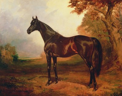 San Simón de James Lynwood Palmer