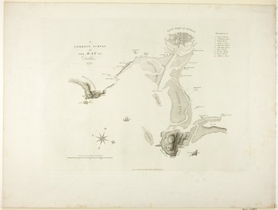 Un estudio correcto de la bahía de Dublín de James Malton