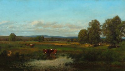 Vacas en el pasto 1870 (Óleo sobre lienzo) de James McDougal Hart