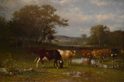 De Sombra Cambiante de James McDougal Hart