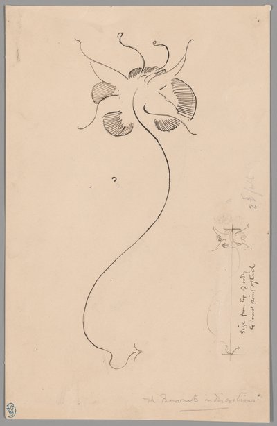 Mariposa (anverso); Estudio de mariposa (reverso) de James McNeill Whistler