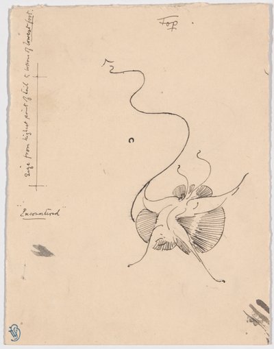 Mariposa "Encontrada" (anverso); boceto para la pieza de cola (reverso) de James McNeill Whistler