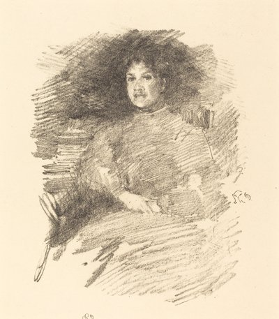 Luz de fuego de James Abbott McNeill Whistler