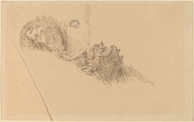 Sra. o Srta. McNay de James Abbott McNeill Whistler