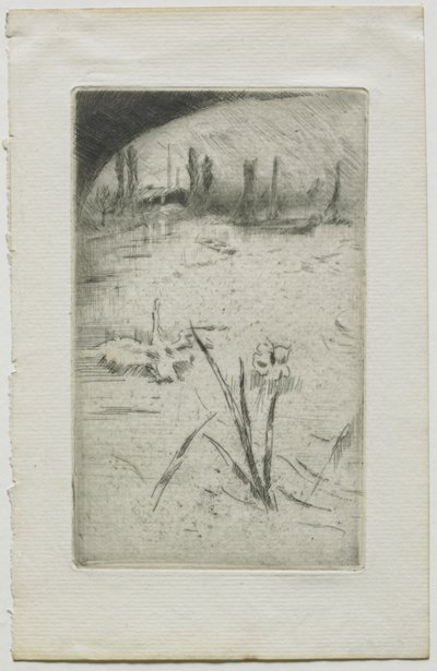 Cisne e iris de James McNeill Whistler