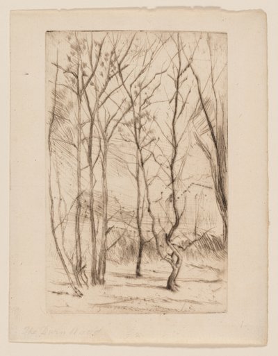 El bosque de la presa de James Abbott McNeill Whistler