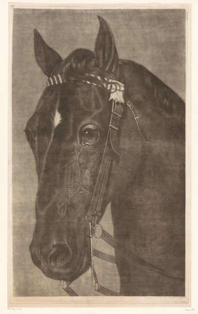 Cabeza de caballo con brida de James Newman Hodges