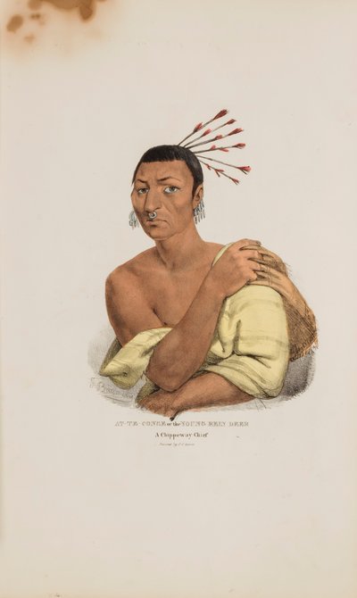 AT-TE-CONSE o el Joven Ciervo Reno; Un Jefe Chippeway, de The Aboriginal Portfolio de James Otto Lewis