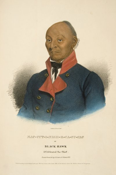 Mac-cut-i-mish-e-ca-cu-cac o Halcón Negro de James Otto Lewis