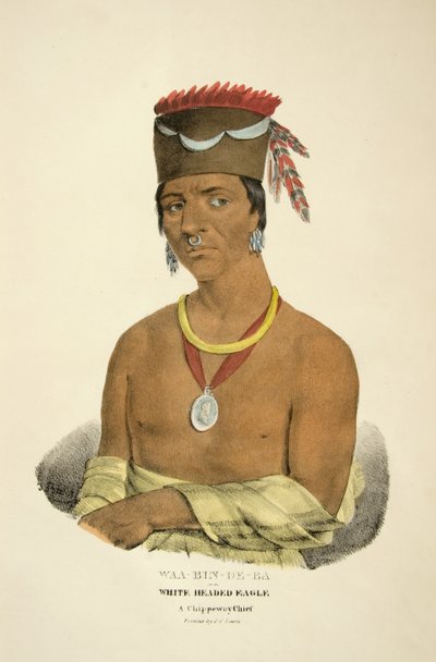 Waa-bin-de-ba o El Águila de Cabeza Blanca de James Otto Lewis