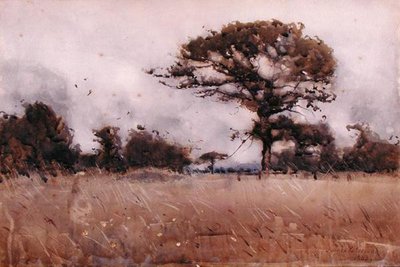 Viento de James Paterson