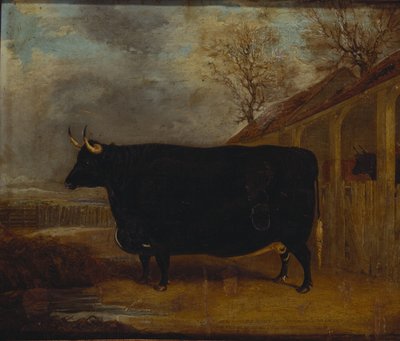 Un toro negro junto a un cobertizo, con un paisaje extenso más allá de James Pollard