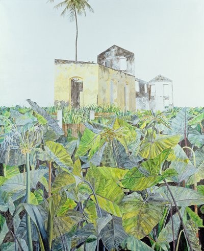 Ruina en un Pantano, Haití, 1971 de James Reeve