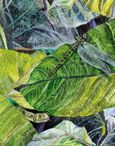 Serpiente de agua y libélula, 1971 de James Reeve