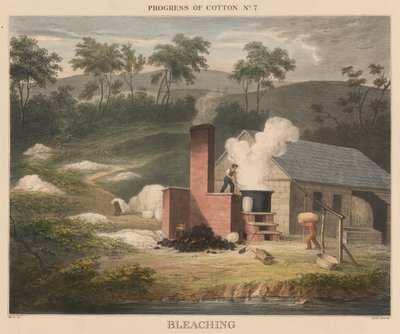 Progreso del algodón, #7: Blanqueamiento de James Richard Barfoot