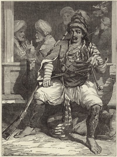 Un Bashi-Bazouk de James Robertson