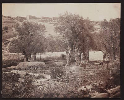 Getsemaní [Jerusalén. Monte de los Olivos] de James Robertson
