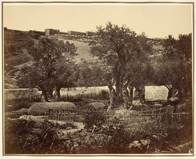 El Huerto de Getsemaní de James Robertson