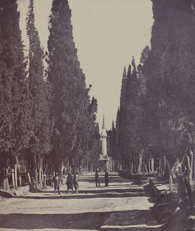 Vista en el Gran Cementerio de Scutari de James Robertson