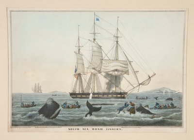 Pesquería de Ballenas del Mar del Sur de James S. Baillie