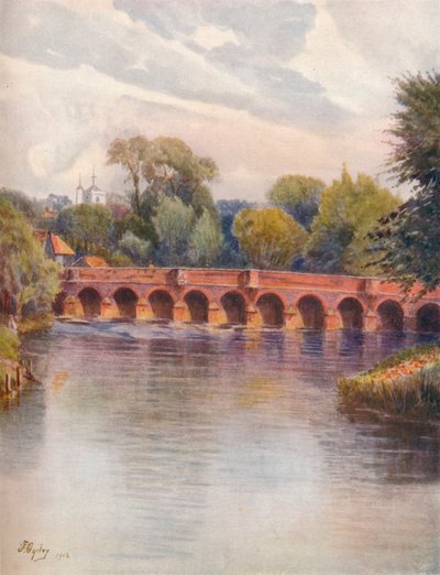 Puente de Leatherhead de James S Ogilvy