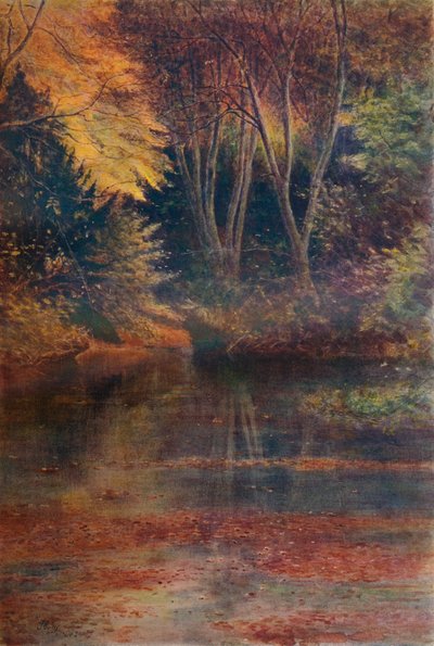 La Piscina Silenciosa, 1911, 1914 de James S Ogilvy