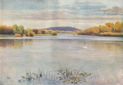 Estanque Vachery, 1911, 1914 de James S Ogilvy