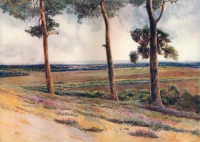 Vista desde Staple Hill, 1911, 1914 de James S Ogilvy